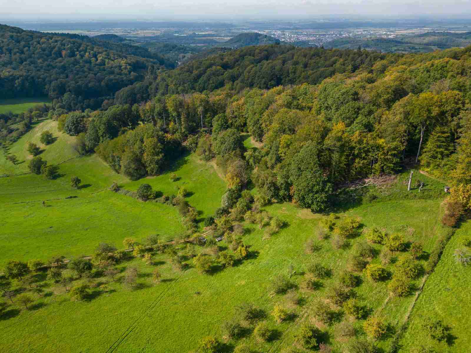 Streuobstwiesen an der Bergstraße aus der Luft